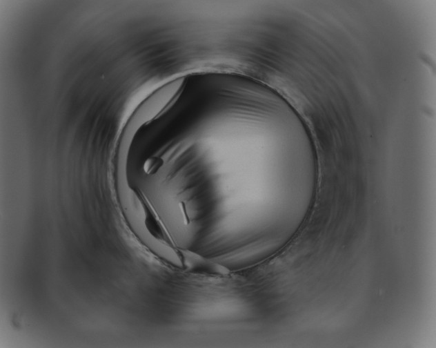 X0000092040960200710100955