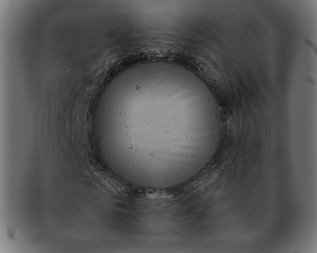 X0000092040961200710100954