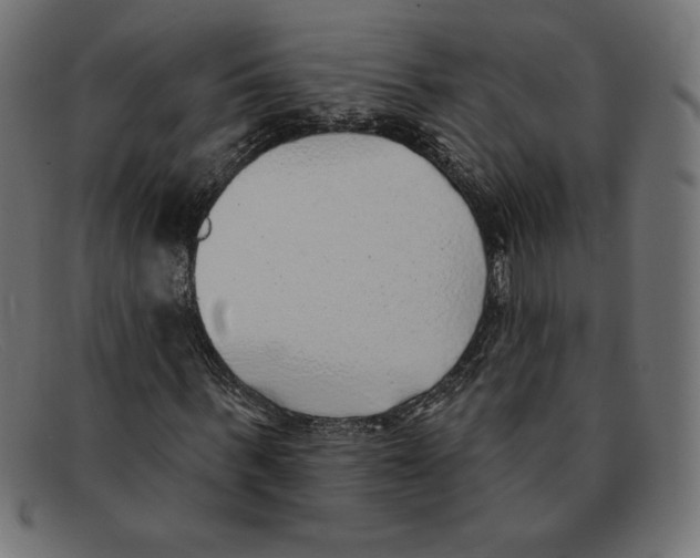 X0000092040963200710100954