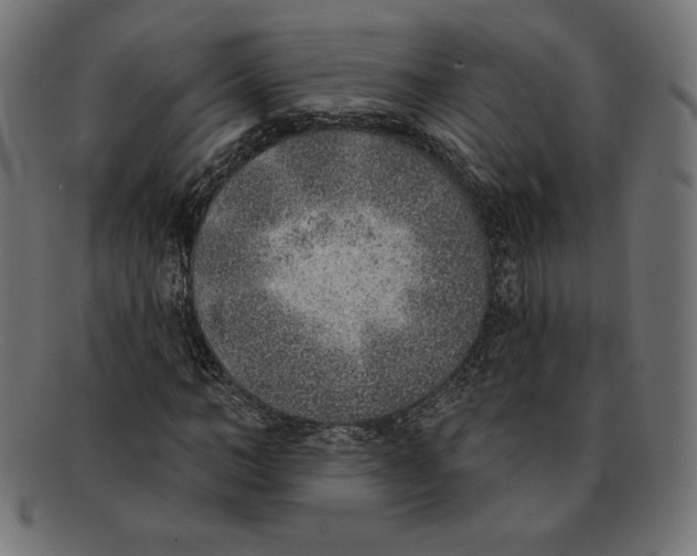 X0000092040966200710100954