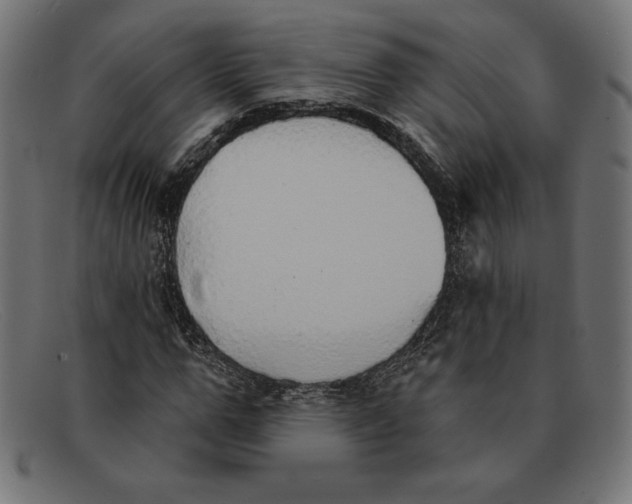 X0000092040967200710100954