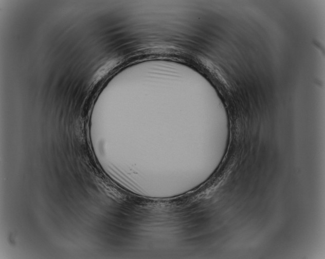 X0000092040970200710100954