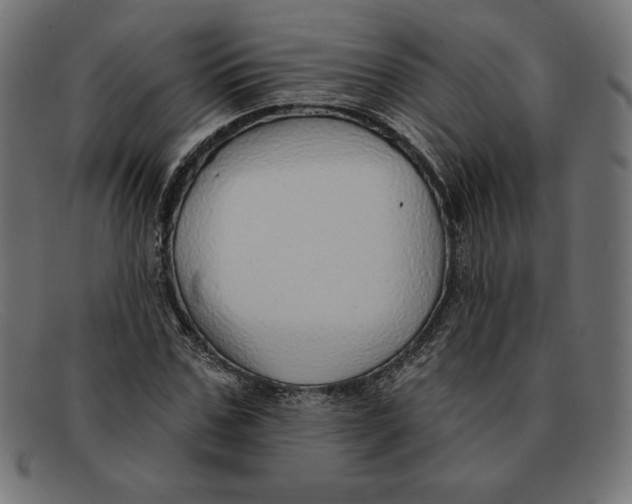 X0000092040971200710100954