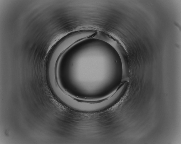 X0000092040973200710100954