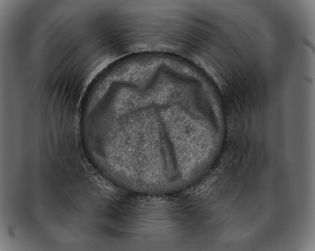 X0000092040975200710100954