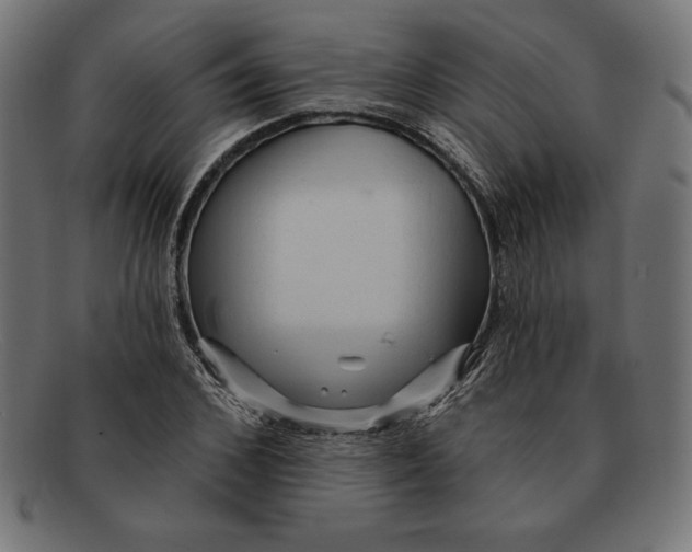 X0000092040976200710100954