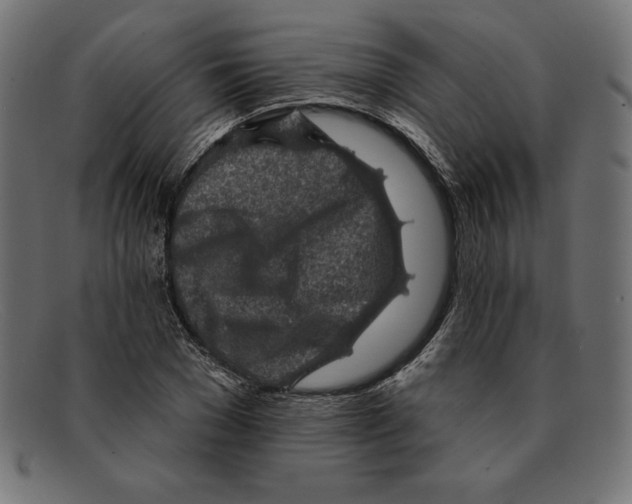 X0000092040977200710100954