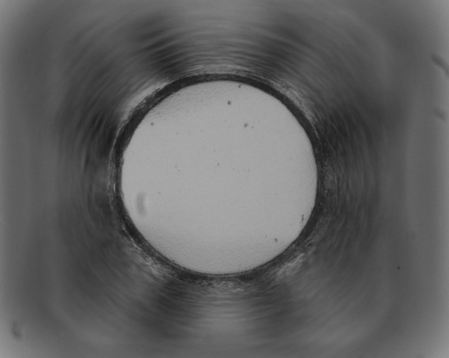 X0000092040979200710100954