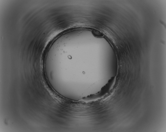 X0000092040981200710100954