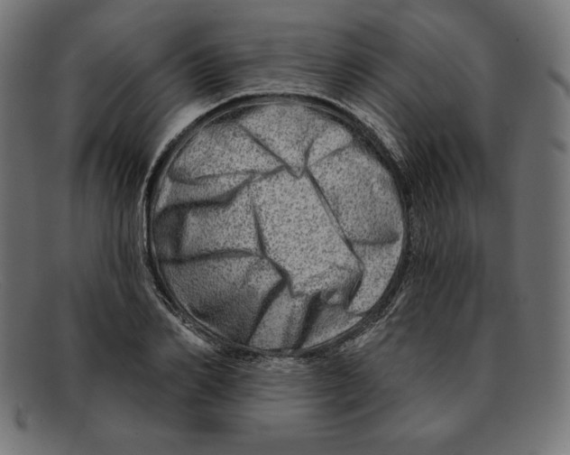 X0000092040982200710100954