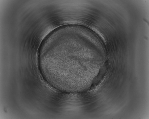 X0000092040983200710100954