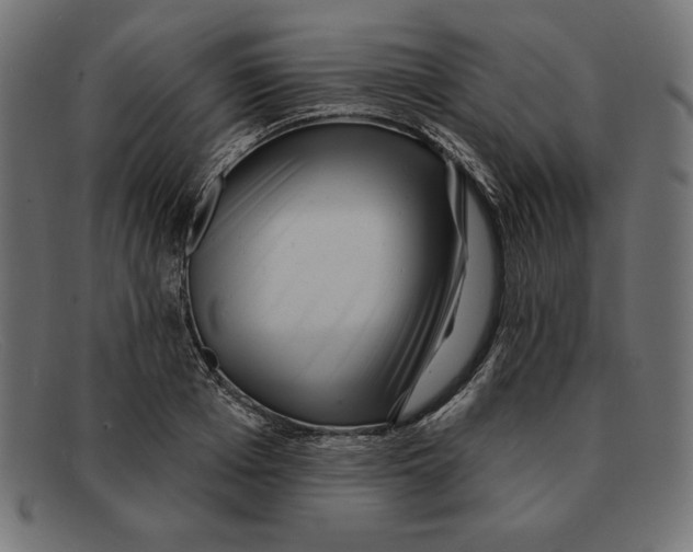 X0000092040985200710100954