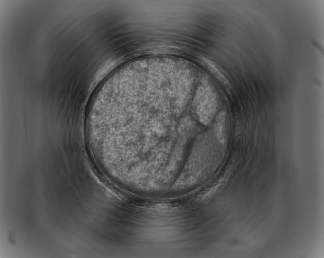 X0000092040986200710100954