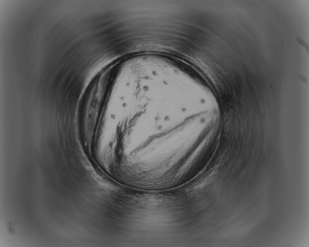 X0000092040987200710100954