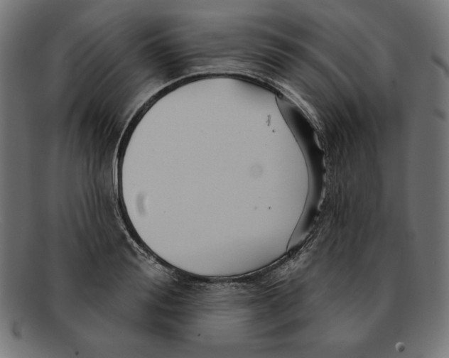 X0000092040988200710100954