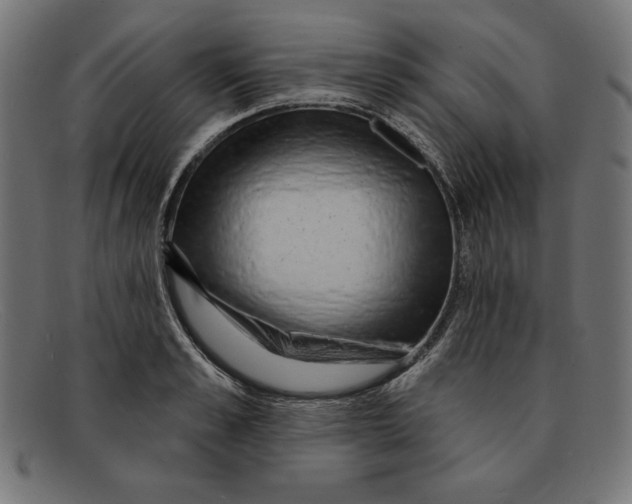 X0000092040989200710100954