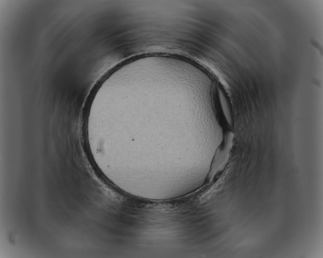 X0000092040991200710100954