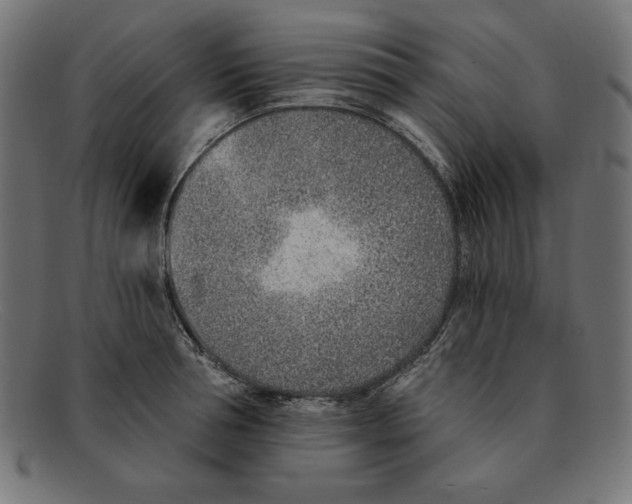 X0000092040994200710100954