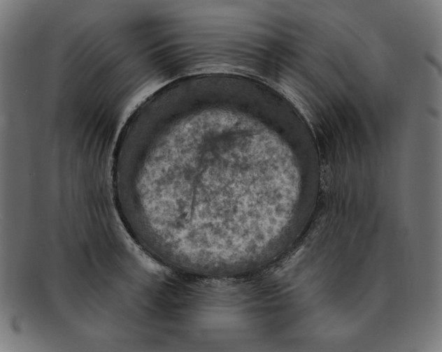 X0000092040995200710100954