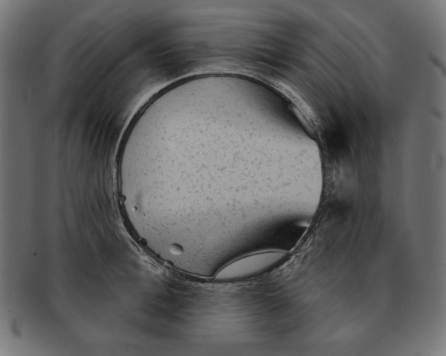 X0000092040996200710100954