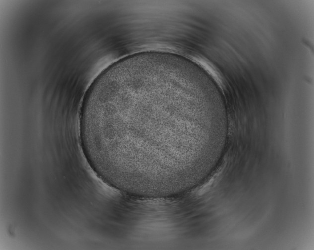 X0000092040999200710100954