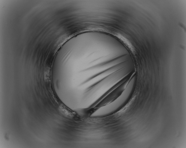 X0000092041001200710100954