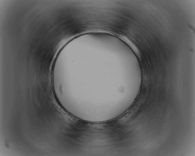 X0000092041004200710100954