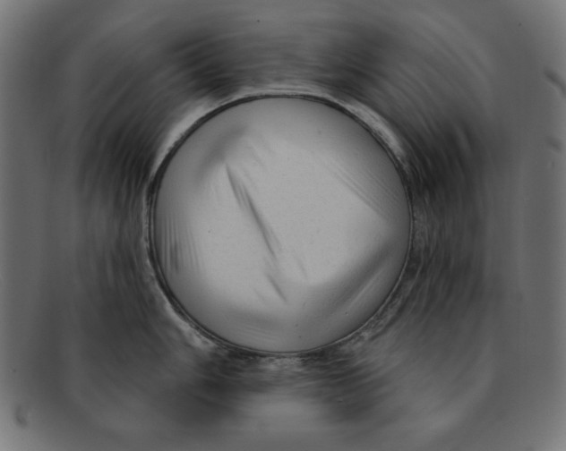 X0000092041006200710100954