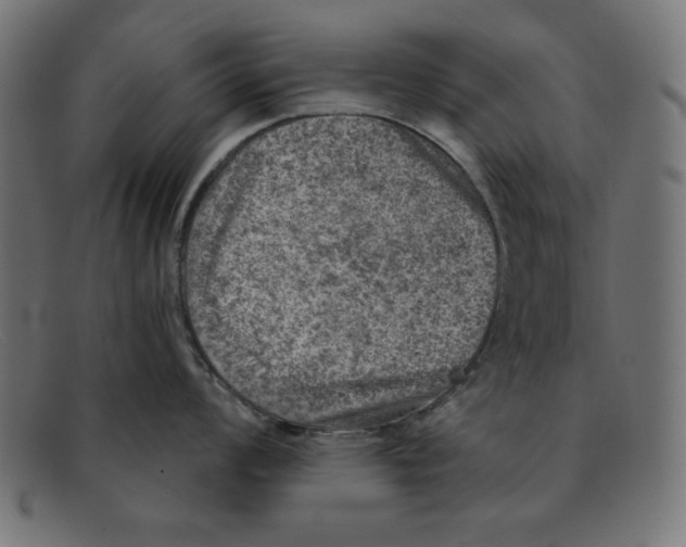 X0000092041008200710100954