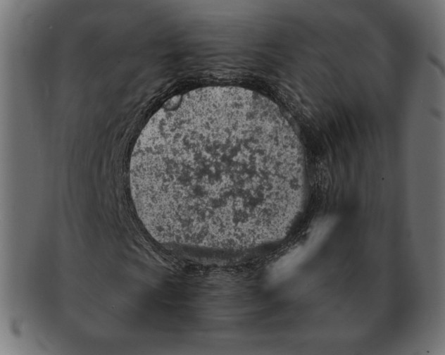 X0000092041009200710100953