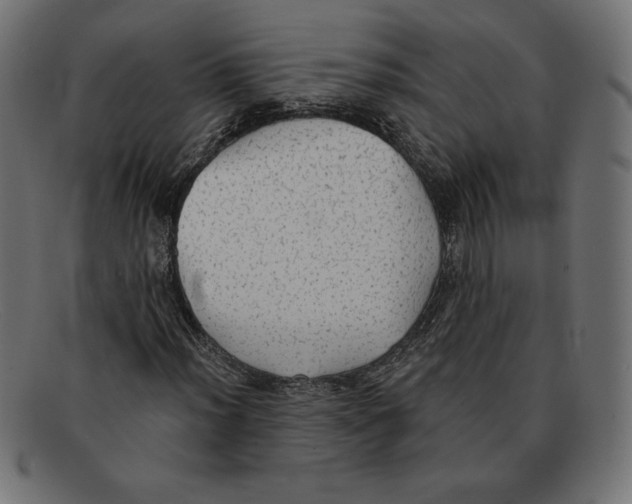 X0000092041012200710100953