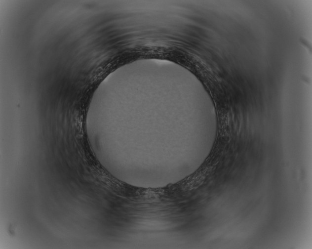 X0000092041013200710100953