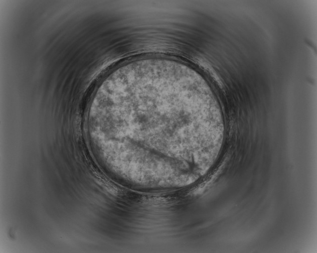 X0000092041019200710100953