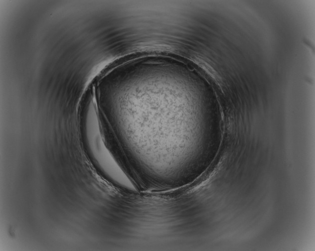 X0000092041022200710100953