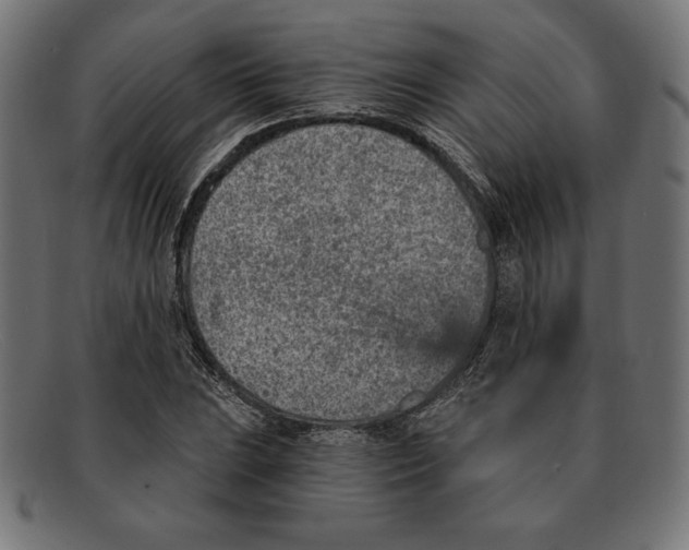 X0000092041023200710100953