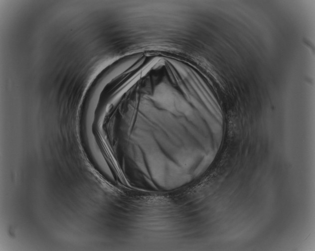 X0000092041024200710100953