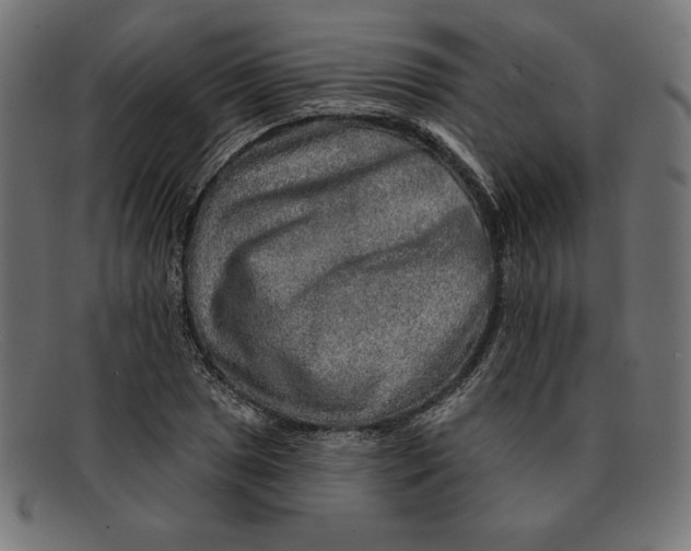 X0000092041025200710100953