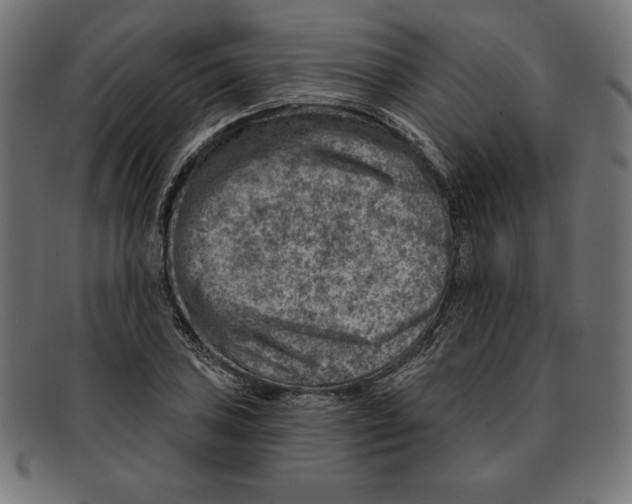 X0000092041027200710100954