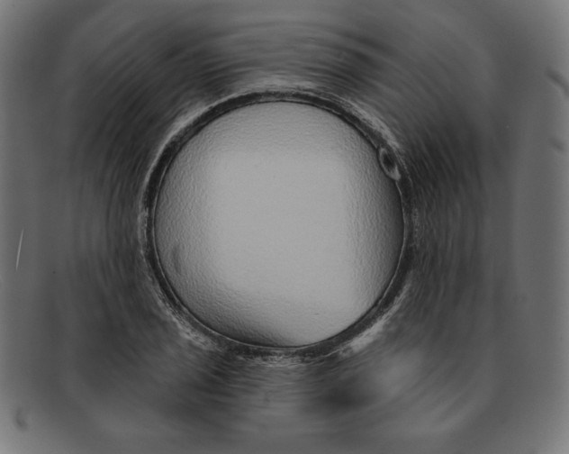 X0000092041029200710100954