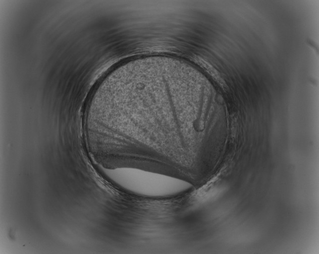 X0000092041031200710100954