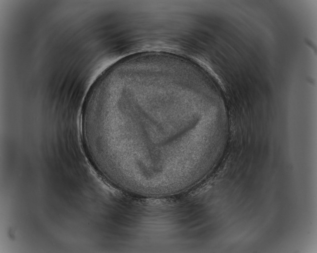 X0000092041032200710100954