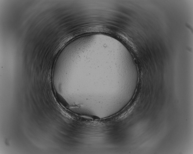 X0000092041033200710100954