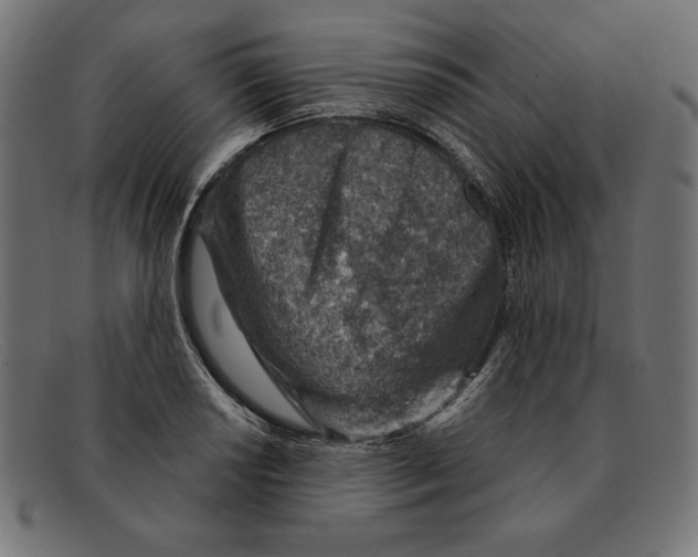 X0000092041034200710100954