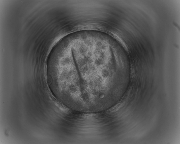 X0000092041035200710100954