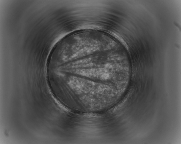 X0000092041037200710100954