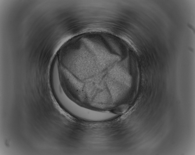 X0000092041038200710100954