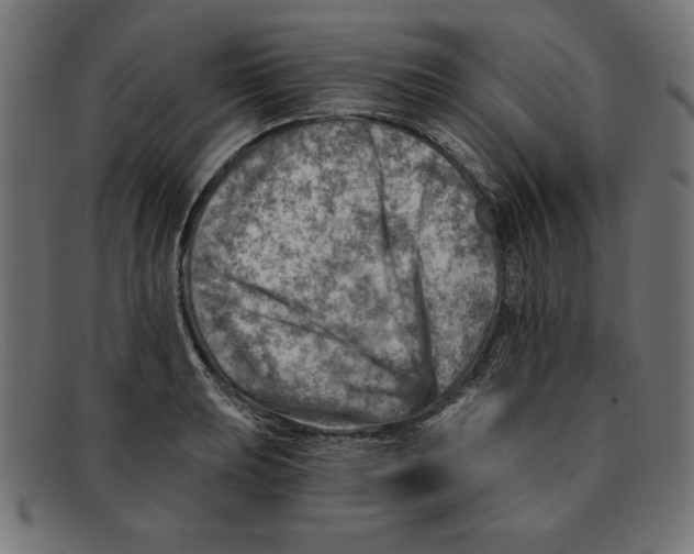 X0000092041039200710100954