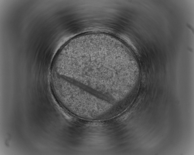 X0000092041040200710100954