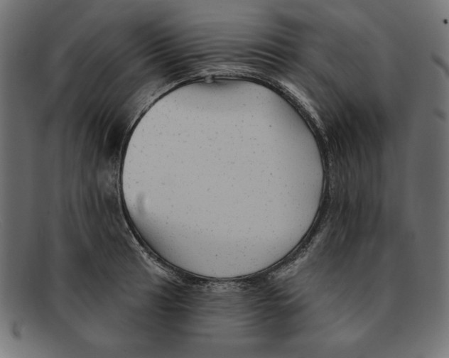 X0000092041041200710100954