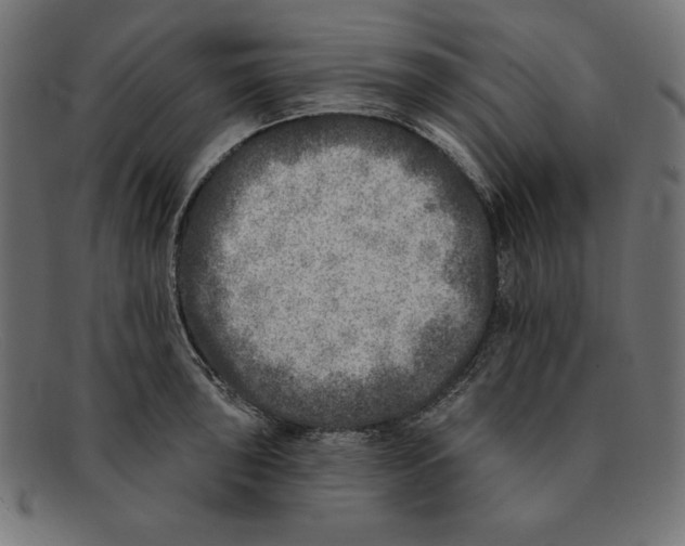 X0000092041043200710100954